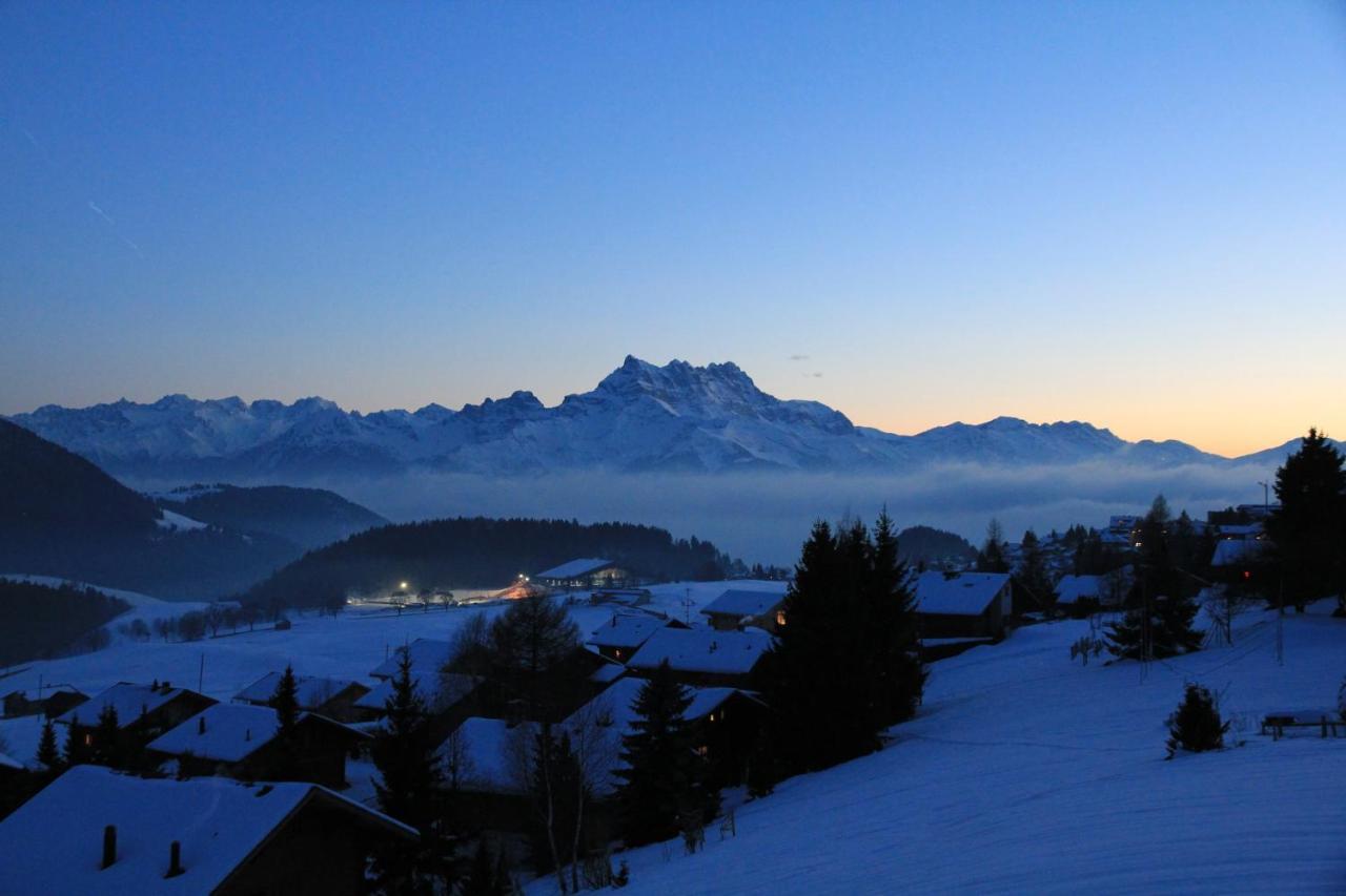 La Petite Silene Apartment Leysin Luaran gambar
