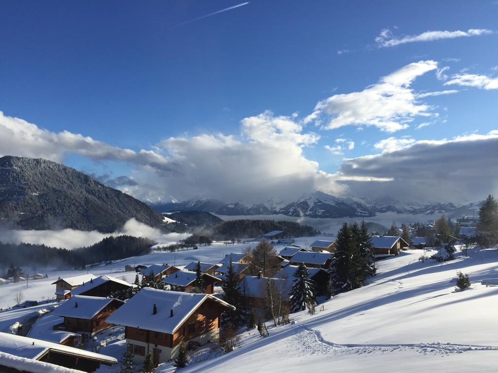 La Petite Silene Apartment Leysin Bilik gambar