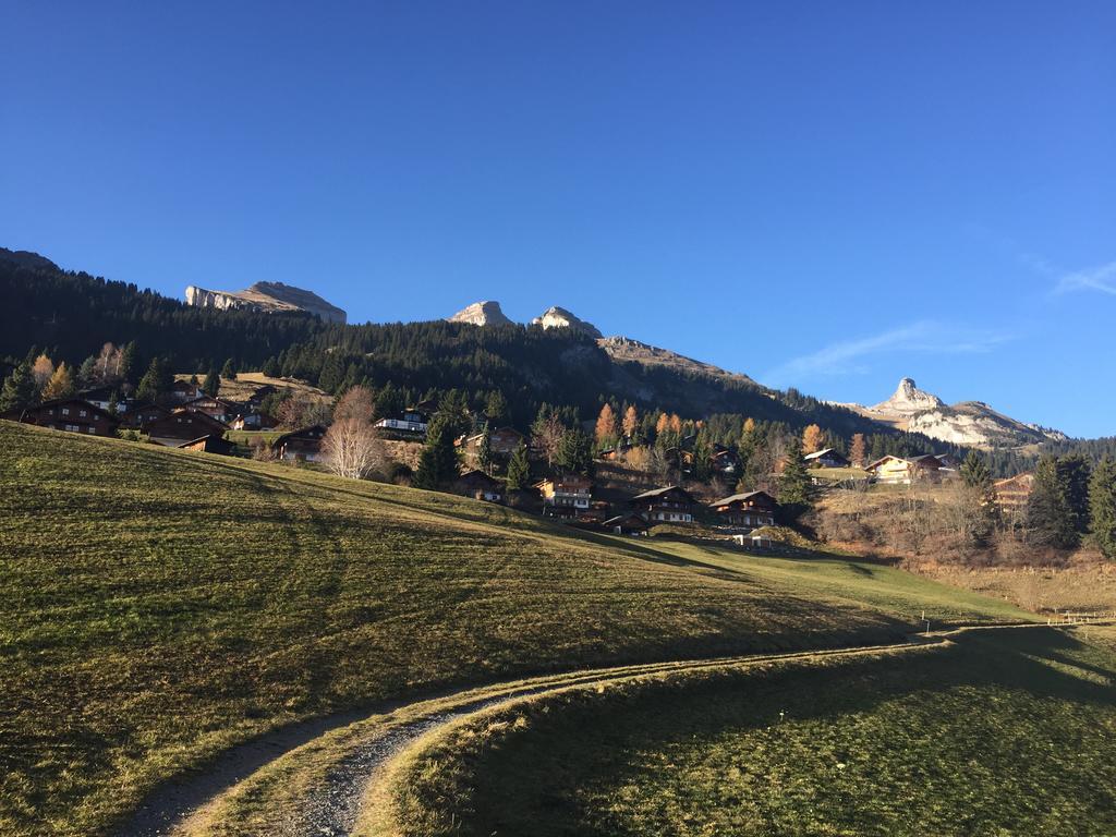 La Petite Silene Apartment Leysin Bilik gambar