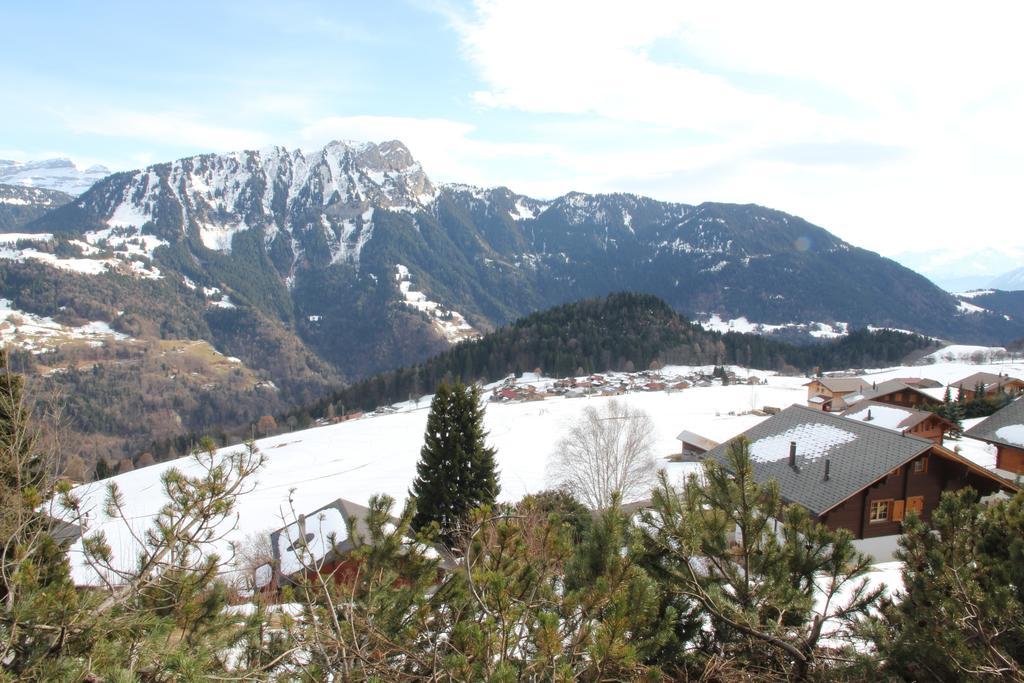 La Petite Silene Apartment Leysin Luaran gambar