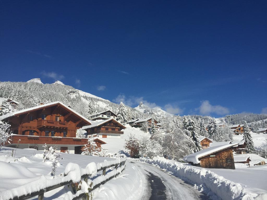 La Petite Silene Apartment Leysin Luaran gambar